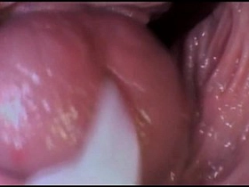 Enlargened chewing output in a