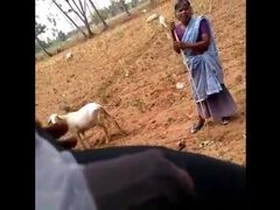 Desi doll showcases her grandma in