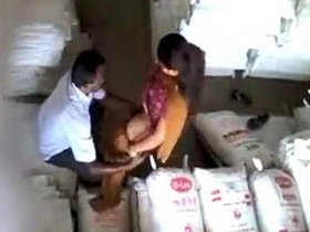 Desi coworker's affair with bhabi leads